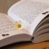 photo d'un livre ouvert mis en pages par l'éditrice freelance