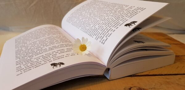 photo d'un livre ouvert mis en pages par l'éditrice freelance